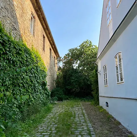 Villa Vidim *