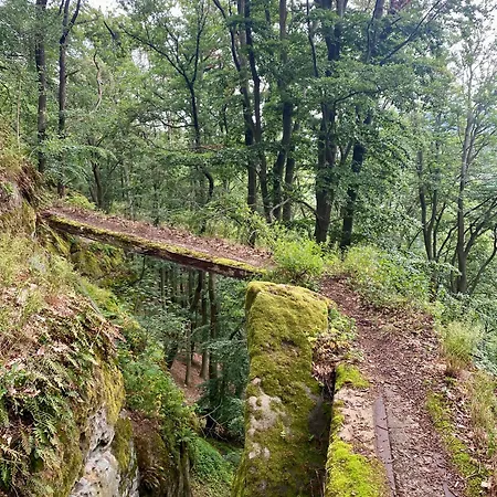 Vidim Villa Dolní Vidim